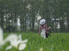 -上海长兴岛郊野公园