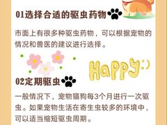 -艾贝尔宠物医院 ·中兽医·宠保定点(北门桥店)