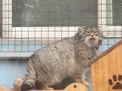 -青藏高原野生动物园