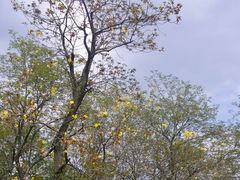 -白鹭湾湿地公园