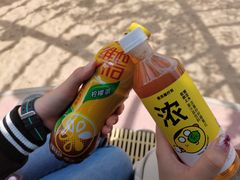 -深圳欢乐谷