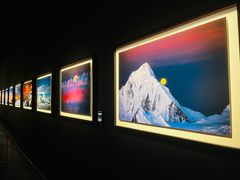 -罗红摄影艺术馆