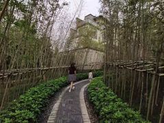 -美的鹭湖森林度假区