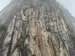 -沣峪口