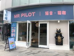 门面-飞行喵MR PILOT|猫舍·猫咖(静安大融城店)
