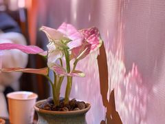 -素凯泰泰式按摩SPA(杭州嘉里中心店)