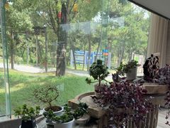 -东海森林温泉度假酒店