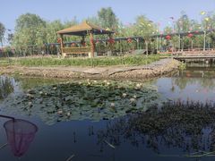 -同銮特种养殖场·龙虾垂钓