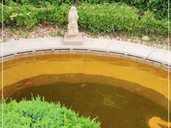 -大连金石滩绿发温泉假日酒店