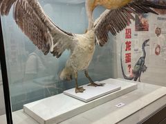 -浙江自然博物院(杭州馆)