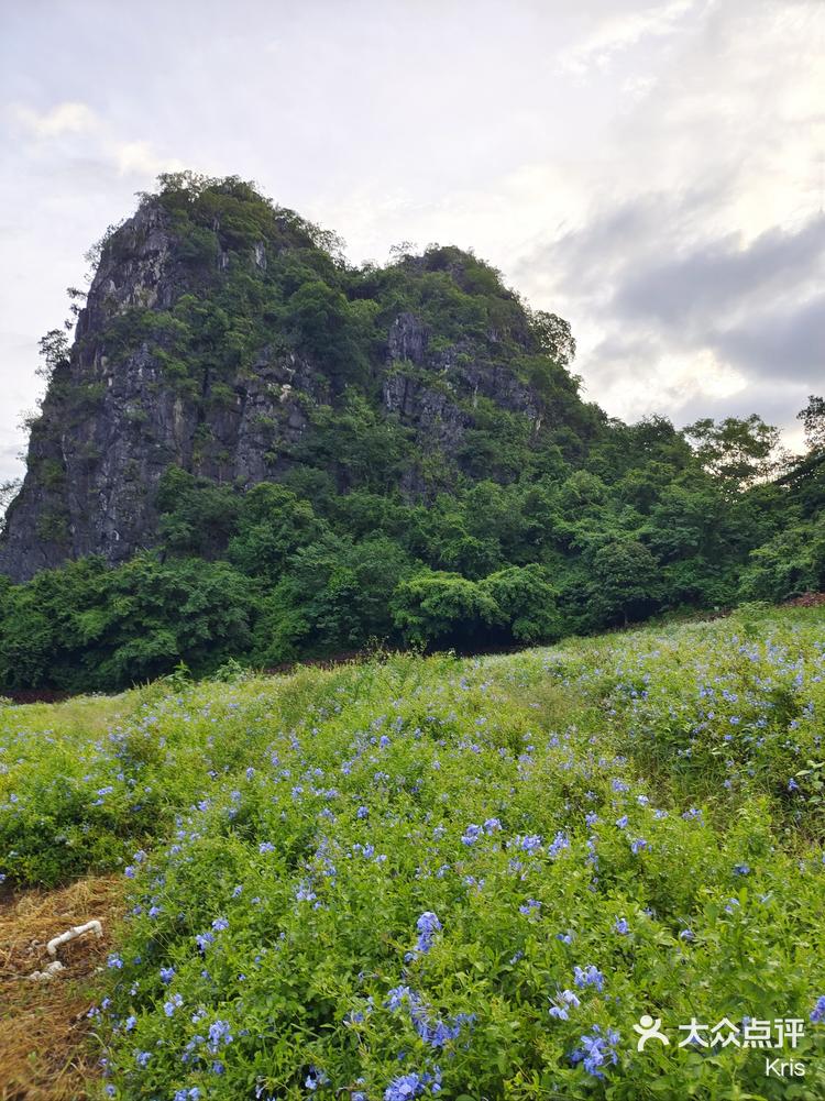 春湾石林风景区电话图片