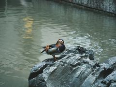 -鼓楼(西湖风景名胜区)
