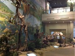 -自贡恐龙博物馆