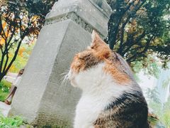 -静安公园(静安寺街道)