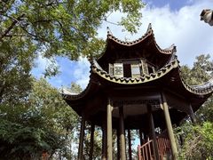 -上海市保健医疗中心