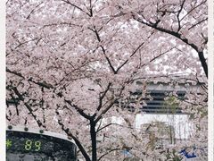 -上海南浦大桥长途旅游客运站