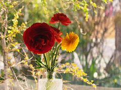 -G+KITCHEN·西餐·手作(时代广场店)