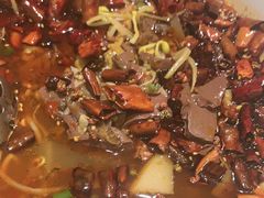 -海派美食·家宴海鲜青岛菜·石锅鲽鱼头(东方城店)
