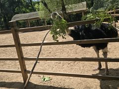 -秦皇岛野生动物园
