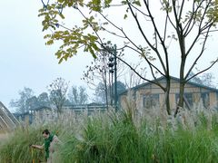 -中国天府农业博览园