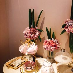 -蕾蕾美颜美容美体