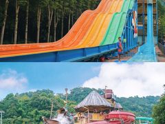 -重庆海昌加勒比海水世界