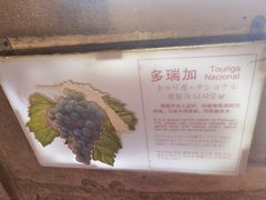 -青岛葡萄酒博物馆