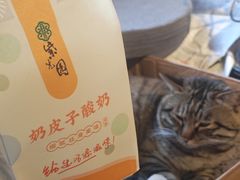 -正阳书局(西四南大街店)