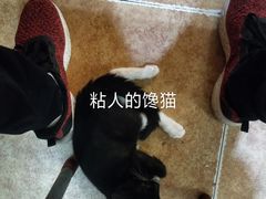 -聪辉同安老美食饭店(大元路店)