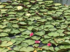 -太湖湖滨国家湿地公园-停车场