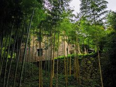 -莫干山风景区