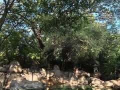 -湖泉半山温泉