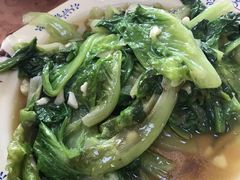 农家有机蔬菜-幽优农庄·森波拉特色本地农家菜