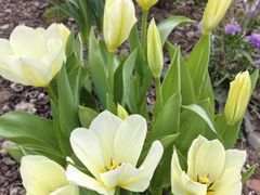 -上海植物园-4号门售票处