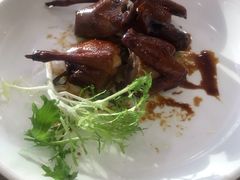 私房乳鸽-新兴家喻酒家·羊城名宴(昌岗店)