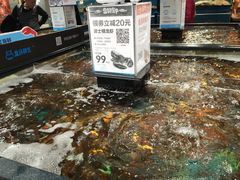 水产区-盒马鲜生(曜一城店)