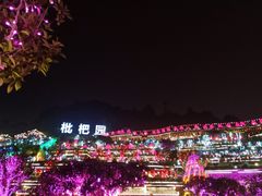 -枇杷园食为鲜火锅(南山店)