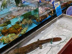 -南海食街(佛冈店)