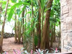 -西双版纳融创皇冠假日度假酒店