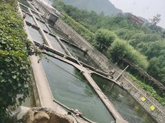 -天源渔港农庄