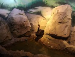 -酷嗒动物文化乐园(cutezoo西溪乐天城店)