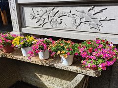 -龙姐私房菜(和顺古镇店)