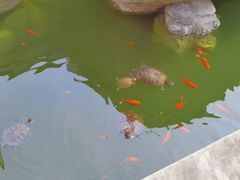 -南京市江宁方山