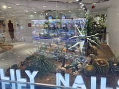 -银座mall(东直门店)