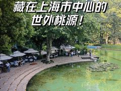 -静安公园(静安寺街道)
