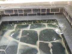 -庐山上汤温泉度假村
