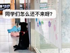 -帝京日语(春熙路旗舰校区)