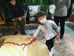 -酷嗒动物文化乐园(cutezoo西溪乐天城店)