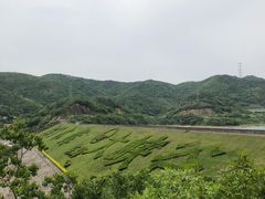 -东海大峡谷