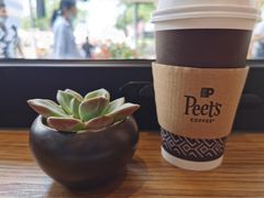 -Peet's Coffee皮爷咖啡(大学路店)